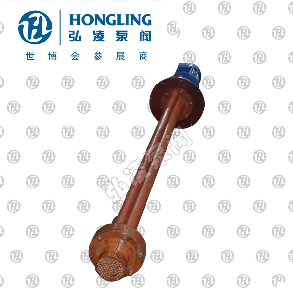 FSY型耐酸液(yè)下泵