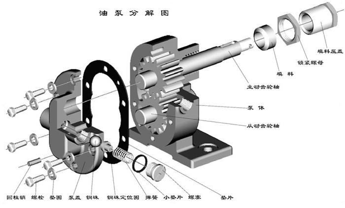 齒輪油泵（bèng）分解圖